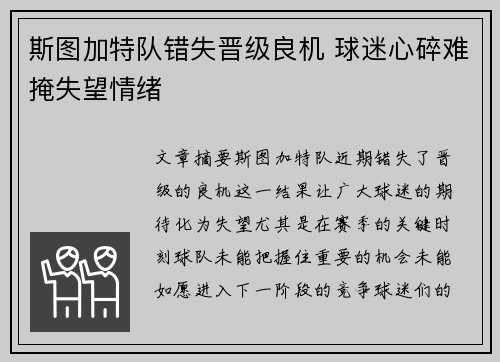 斯图加特队错失晋级良机 球迷心碎难掩失望情绪
